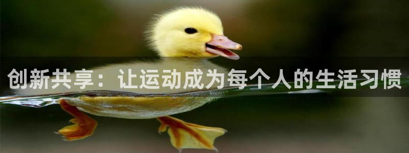 tp官方正版app娱乐首页网站大全:创新共享:让运动成为每个