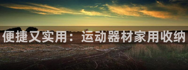 tpwallet官网下载软件:便捷又实用:运动器材家用收纳